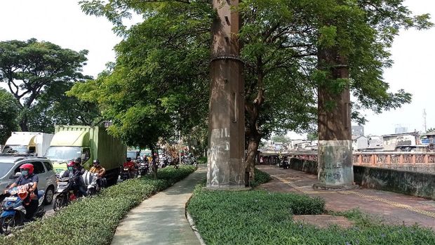 Pohon besar disebut menghalangi penunjuk arah di Jl Daan Mogot, Cengkareng, Jakarta Barat.