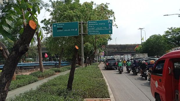 Pohon yang menghalangi penunjuk arah di Jl Daan Mogot, Cengkareng, Jakarta Barat telah dipangkas. Pohon yang menghalangi penunjuk arah di Jl Daan Mogot, Cengkareng, Jakarta Barat telah dipangkas.