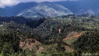 Kondisi hutan yang ditebang untuk lahan perkebunan di kawasan gunung Salak, Kecamatan Nisam Antara, Aceh Utara. Kondisi kerusakan hutan di kawasan itu semakin meluas akibat pembukaan lahan secara tidak terkendali, illegal logging yang mengancam ekosistem, bencana longsor dan banjir bandang. 
