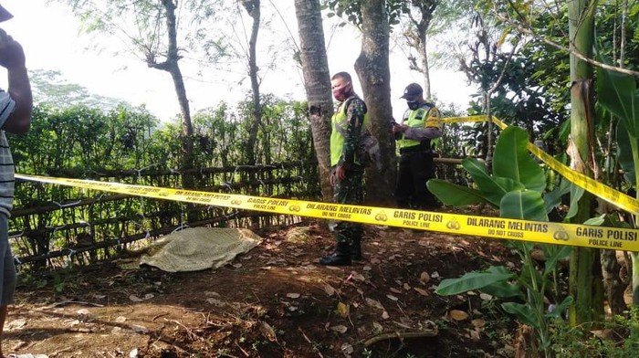 pemetik kelapa tewas terjatuh