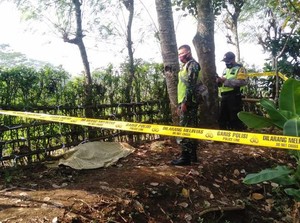 Kena Jantung Mendadak Saat Panjat Pohon Kelapa, Pria Ini Jatuh dan Tewas