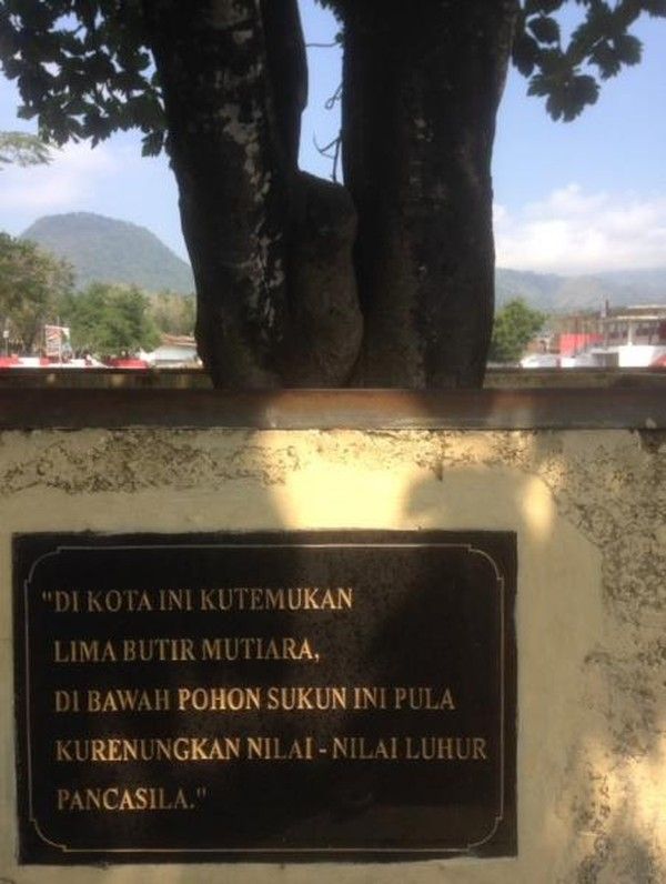 Pohon sukun di Ende yang jadi tempat Bung Karno mencetuskan Pancasila (Dok. detikcom)Pohon sukun di Ende yang jadi tempat Bung Karno mencetuskan Pancasila (Dok. detikcom)