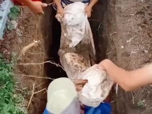 Diviralkan Jenazah Utuh, Ternyata Isi Kain Kafannya Hanya Tulang