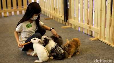 Asyiknya Bermain dengan Hewan di Pusat Perbelanjaan Ibu Kota