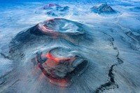 BigPicture Natural World Photography Competition 2021