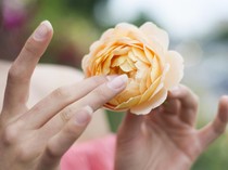 6 Tips Merangsang Miss V agar Cepat Basah, Istri Auto Klepek-klepek