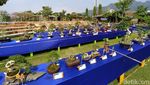 Pameran Bonsai Borobudur Pertama di Magelang
