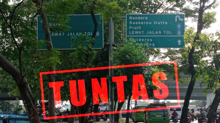 Masalah penunjuk arah tol di Jl Daan Mohot terhalang pohon Tuntas