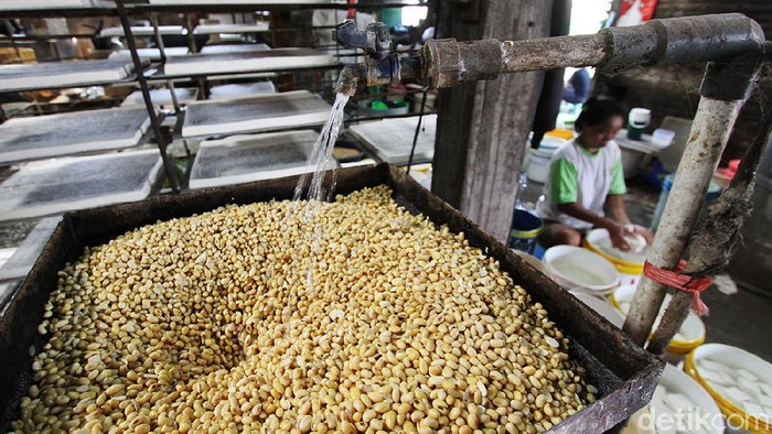 Perajin Tahu di Solo Tetap Produksi Kala Harga Kedelai Naik Perajin tahu di Solo terdampak kenaikan harga kedelai impor. Meski begitu, mereka tetap memproduksi tahu untuk memenuhi kebutuhan sehari-hari.