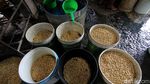 Perajin Tahu di Solo Tetap Produksi Kala Harga Kedelai Naik