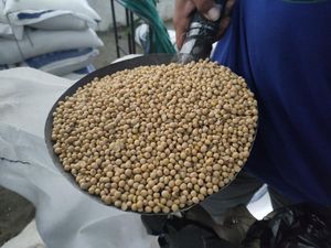 Perajin Tahu dan Tempe di Sidoarjo Keluhkan Naiknya Harga Kedelai