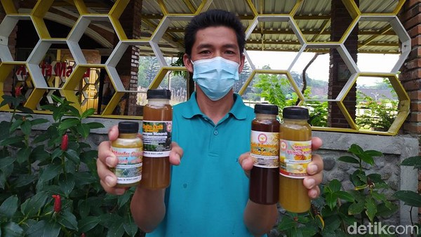 Untuk harganya, per 250 mililiter itu ada yang Rp 140.000. Itu untuk madu pahit, kalau yang manis Rp 100.000. Madu asli ini dihasilkan lebah yang dibudidayakan di kawasan perbukitan Menoreh. (Eko Susanto/detikTravel) Untuk harganya, per 250 mililiter itu ada yang Rp 140.000. Itu untuk madu pahit, kalau yang manis Rp 100.000. Madu asli ini dihasilkan lebah yang dibudidayakan di kawasan perbukitan Menoreh. (Eko Susanto/detikTravel)