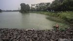 Dampak Tak Langsung Siklon Tropis Choi Wan