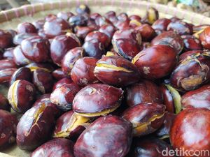 Harga Jengkol Naik Tiga Kali Lipat, Kini Tembus Rp 60.000/Kg!