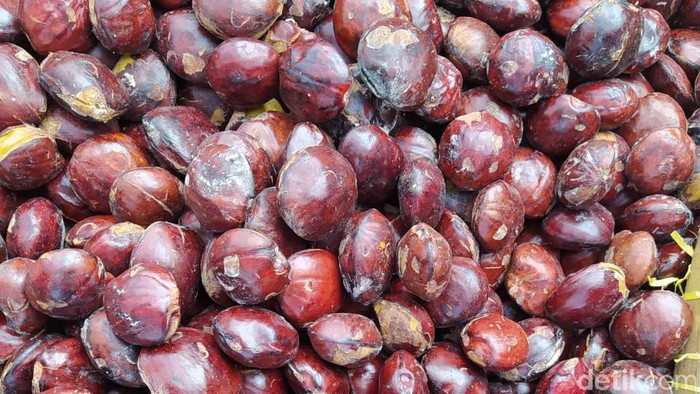 Gokil! Harga Jengkol Naik 3 Kali Lipat Tembus 60.000/Kg