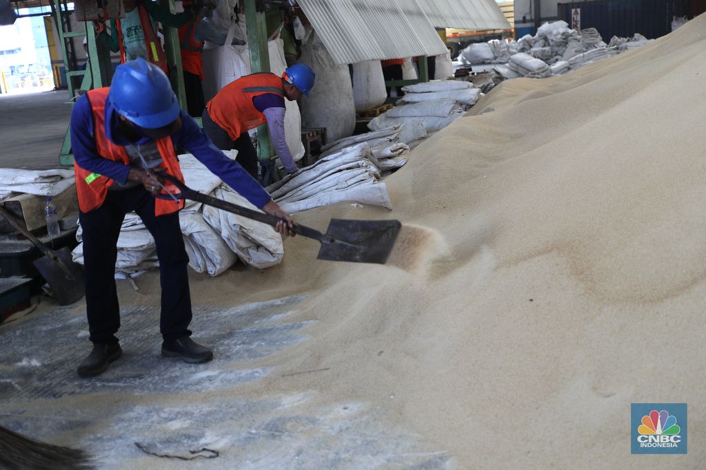 Gula kristal mentah (raw sugar)  impor (CNBC Indonesia/Tri Susilo)