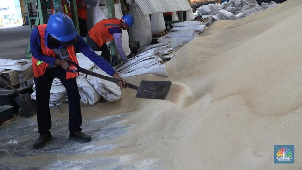 Gula kristal mentah (raw sugar)  impor (CNBC Indonesia/Tri Susilo)