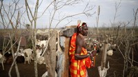 Suku Maasai merupakan penduduk asli Tanzania. Kebanyakan dari mereka tinggal di bagian utara yang daerahnya berbatasan dengan Kenya. Getty Images/Francois Nel  