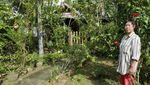 Lorong Buangkok Sisa Jejak Singapura di Masa Lalu