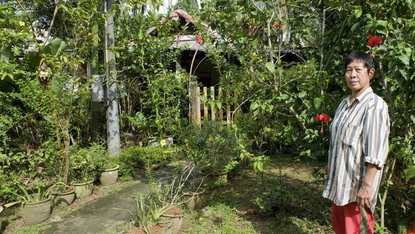 Salah satu alasan Kampong Lorong Buangkok tetap bertahan adalah seorang perempuan berusia 70 tahun, Sng Mui Hong. Dia bungsu dari empat bersaudara putri pedagang obat, Sng Teow Koon, yang membeli tanah di kampung itu pada 1959, sembilan tahun sebelum Singapura merdeka. Saat itu kampung tersebut masih berupa rawa-rawa. Kemudian, Koon menyewakan tanahnya kepada orang-orang Melayu dan China yang datang dan menetap di sana.(AFP/SIMIN WANG) Salah satu alasan Kampong Lorong Buangkok tetap bertahan adalah seorang perempuan berusia 70 tahun, Sng Mui Hong. Dia bungsu dari empat bersaudara putri pedagang obat, Sng Teow Koon, yang membeli tanah di kampung itu pada 1959, sembilan tahun sebelum Singapura merdeka. Saat itu kampung tersebut masih berupa rawa-rawa. Kemudian, Koon menyewakan tanahnya kepada orang-orang Melayu dan China yang datang dan menetap di sana.(AFP/SIMIN WANG)