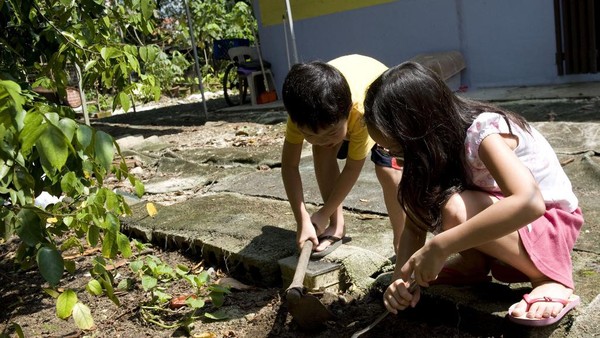 Berada di tengah hutan eton, Kampong Lorong Buangkok menyuguhkan suasana Singapura tempo dulu. Di sini masih ada tumbuhan ketapang dan kabel listrik yang menggantung. Di area Singapura lain, jaringan listrik dipasang di bawah tanah, dan masih ada ayam berkeliaran di halaman. Harga sewa rumahnya pun sangat murah dibandingkan flat yang menjadi tempat tinggal 90 persen warga Singapura, sekitar Rp 65 ribu sampai Rp 430 ribu per bulan.(AFP/SIMIN WANG) Berada di tengah hutan eton, Kampong Lorong Buangkok menyuguhkan suasana Singapura tempo dulu. Di sini masih ada tumbuhan ketapang dan kabel listrik yang menggantung. Di area Singapura lain, jaringan listrik dipasang di bawah tanah, dan masih ada ayam berkeliaran di halaman. Harga sewa rumahnya pun sangat murah dibandingkan flat yang menjadi tempat tinggal 90 persen warga Singapura, sekitar Rp 65 ribu sampai Rp 430 ribu per bulan.(AFP/SIMIN WANG)