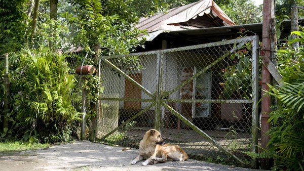 Di Kampong lorong Buangkok cuma ada 25 rumah. Salah satu penduduk setempat, Nassim, berharap pemerintah tidak mengubah kebijakan. Sebab, Kampong Lorong Buangkok merupakan salah satu jejak masa lalu Singapura yang patut diketahui anak cucu. (SIMIN WANG) Di Kampong lorong Buangkok cuma ada 25 rumah. Salah satu penduduk setempat, Nassim, berharap pemerintah tidak mengubah kebijakan. Sebab, Kampong Lorong Buangkok merupakan salah satu jejak masa lalu Singapura yang patut diketahui anak cucu. (SIMIN WANG)