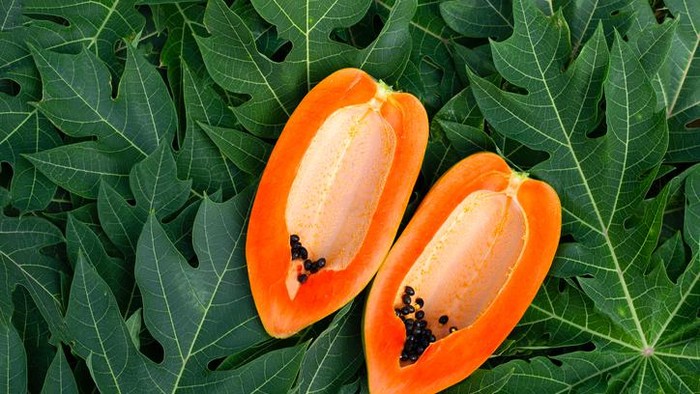 Manfaat daun dan Buah Pepaya untuk Asam Lambung, Seberapa Ampuh?