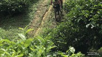 Beberapa bagian menurun sangat menantang. Foto oleh Nasrullah.