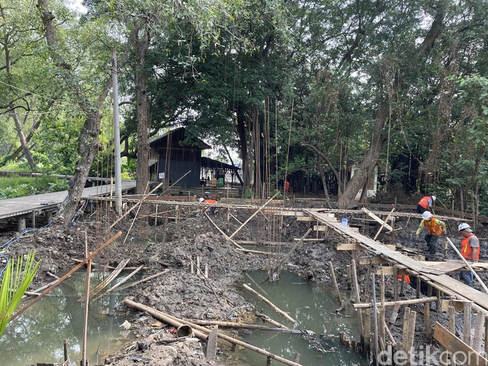 Suaka Margasatwa Muara Angke