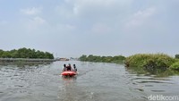 Di ujung Suaka Margasatwa Muara Angke ada kawasan Hutan Lindung Angke Kapuk di bawah Dinas Pertamanan dan Hutan Kota DKI Jakarta. Destinasi ini seperti tak pernah dikunjungi manusia.