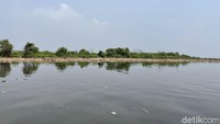 Sampah memenuhi Hutan Lindung Angke Kapuk di bawah Dinas Pertamanan dan Hutan Kota DKI Jakarta. Lokasi destinasi ini ada di ujung muara Kali Angke. Bahkan sampah-sampah ini bak pulau reklamasi.