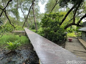 Hari Hutan Indonesia, Ini Secuil yang Instagenik