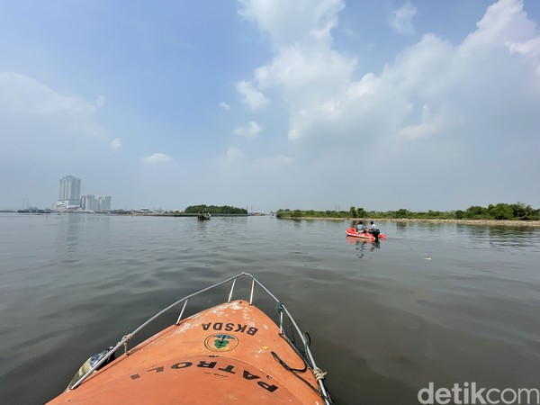 Suaka Margasatwa Muara Angke hingga kini masih tertutup untuk kunjungan umum. Jika traveler melakukan penyusuran sungai, ada begitu banyak sampah di alirannya. Suaka Margasatwa Muara Angke hingga kini masih tertutup untuk kunjungan umum. Jika traveler melakukan penyusuran sungai, ada begitu banyak sampah di alirannya.
