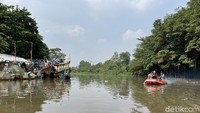 Tak hanya itu, Suaka Margasatwa Muara Angke adalah rumah terakhir di Jakarta bagi lutung Jawa. Hewan itu saat ini sudah tiada lagi alias punah. 