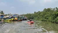 Suaka Margasatwa Muara Angke telah mengalami tahun-tahun yang berat. Pencemaran lingkungan dan kerusakan yang begitu massif membuat statusnya pun diubah agar manusia bisa tetap merawatnya.