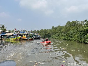 Banjir dan Permukiman Liar Bayang-bayangi Suaka Margasatwa Muara Angke