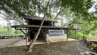 Tak hanya itu, bahkan, permukiman PIK pun mengganggu kawasan dan hewan liar Suaka Margasatwa Muara Angke. Alasannya adalah ketiadaan zona penyangga.