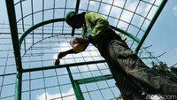 Petugas mengecat terali jembatan yang berwarna hijau.