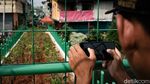 Cegah Tawuran, Jembatan Kota Paris Diubah Jadi Taman