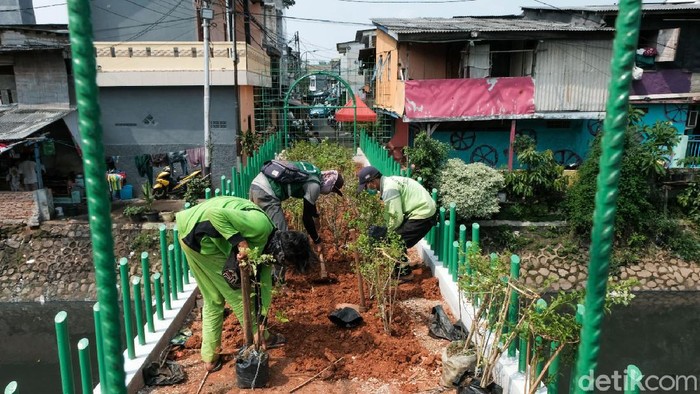 Cegah Tawuran, Jembatan Kota Paris Diubah Jadi Taman Jembatan Kota Paris di Johar Baru, Jakarta, yang sering dijadikan lokasi tawuran diubah fungsinya. Kini jembatan tersebut berubah menjadi taman.