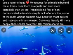 Oops, Foto Ini Ketahuan Palsu Gegara Terlalu Ekstrem Diedit