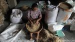 Foto: Menjaga Cita Rasa Mie Lethek, Diproduksi dengan Bantuan Sapi
