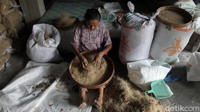 Geliat Produksi Mie Lethek dengan Bantuan Sapi Pembuatan mie Lethek di Dusun Bendo, Srandakan, Bantul, D I Yogyakarta, masih dilakukan secara tradisional. Proses produksi masih menggunakan bantuan sapi.