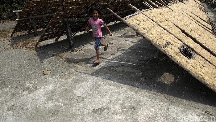 Pembuatan mie Lethek di Dusun Bendo, Srandakan, Bantul, D I Yogyakarta, masih dilakukan secara tradisional. Proses produksi masih menggunakan bantuan sapi.