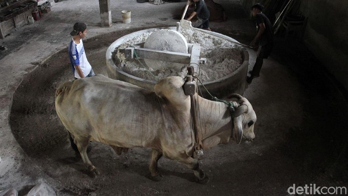 Pembuatan mie Lethek di Dusun Bendo, Srandakan, Bantul, D I Yogyakarta, masih dilakukan secara tradisional. Proses produksi masih menggunakan bantuan sapi.