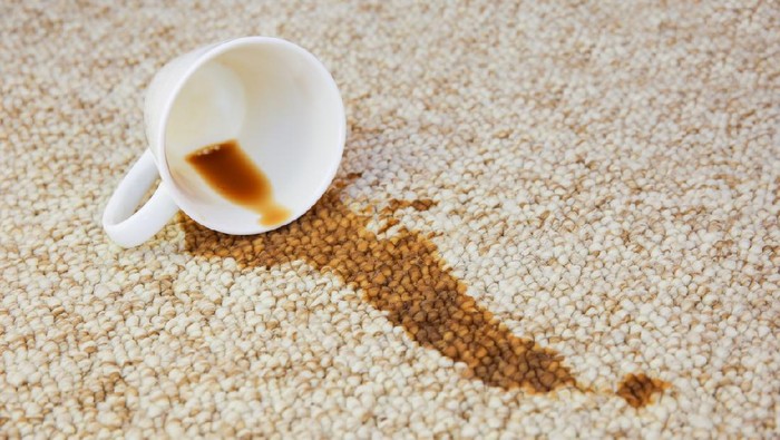 Cup of coffee fell on carpet. Stain is on floor.