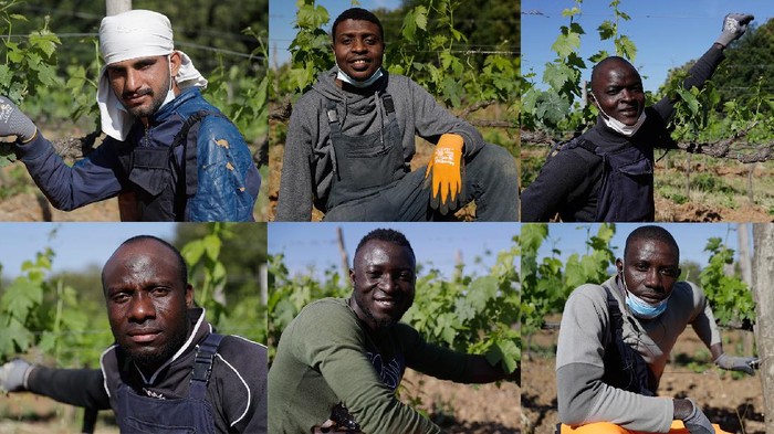 Kala Kelompok Migran Gantungkan Harapan di Kebun Anggur Italia Bottles of Brunello wine are displayed at a bar in Montalcino, Italy, Friday, May 28, 2021. It is a long way, and a risky one. But for this group of migrants at least it was worth the effort. They come from Ghana, Togo, Sierra Leone, Pakistan, Guinea Bissau, among other countries. They all crossed the Sahara desert, then from Libya the perilous Mediterranean Sea until they reached Italian shores, now they find hope working in the vineyards of Tuscany to make the renown Brunello wine. (AP Photo/Gregorio Borgia)
