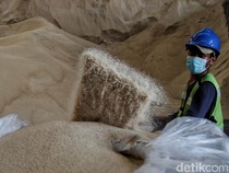 Impor Gula Mentah Era Tom Lembong Disebut Karena Kebutuhan Mendesak