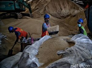 Melihat Gunungan Gula Rafinasi Impor dari India