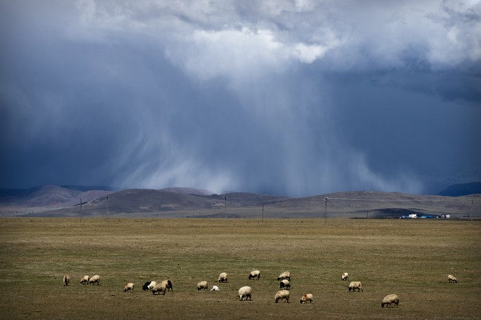 Daratan Tibet merupakan salah satu daerah yang berada di wilayah Cina. Tibet juga dikenal sebagai provinsi dengan wilayah yang paling tinggi di bumi. AP Photo/Mark Schiefelbein)